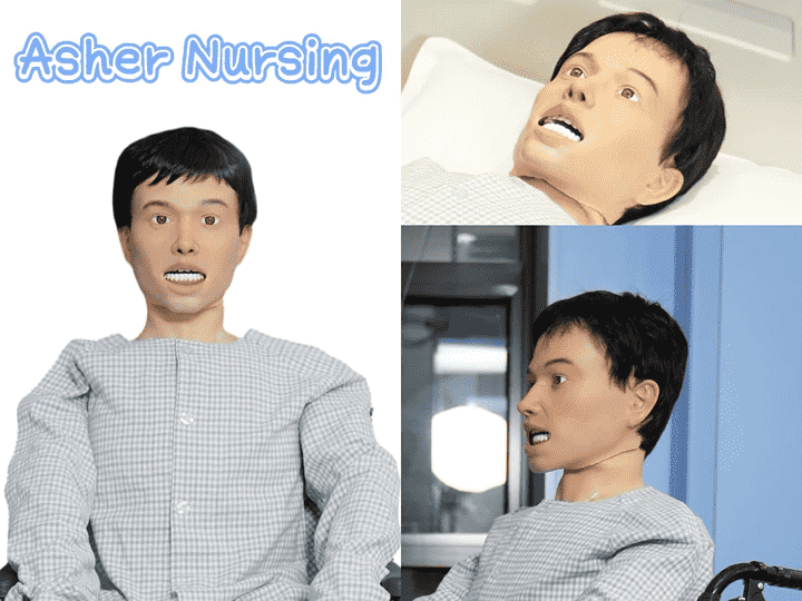 Althea Nursing/Silver Althea Nursing/Asher Nursing